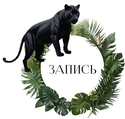 Пантера на кнопке